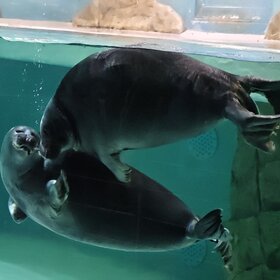 ����������� �����